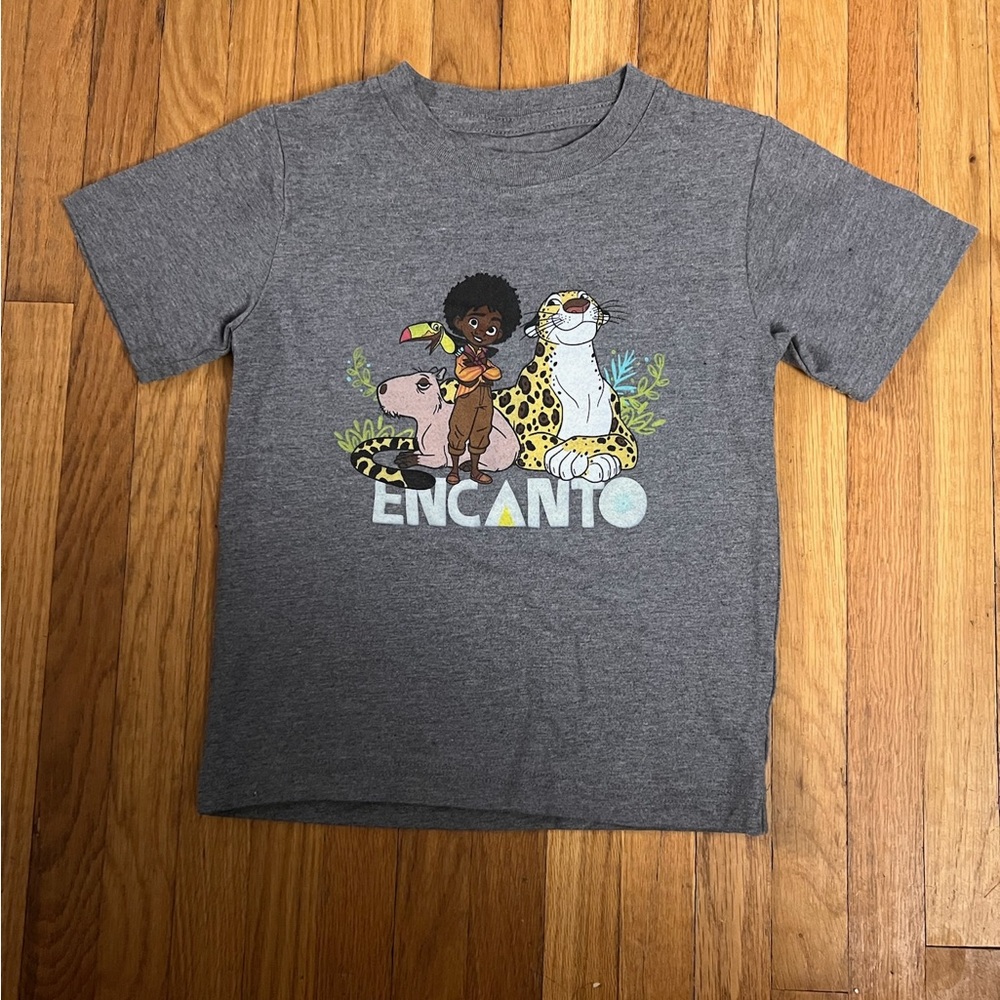 Disney Encanto 2T Tee shirt NWOT